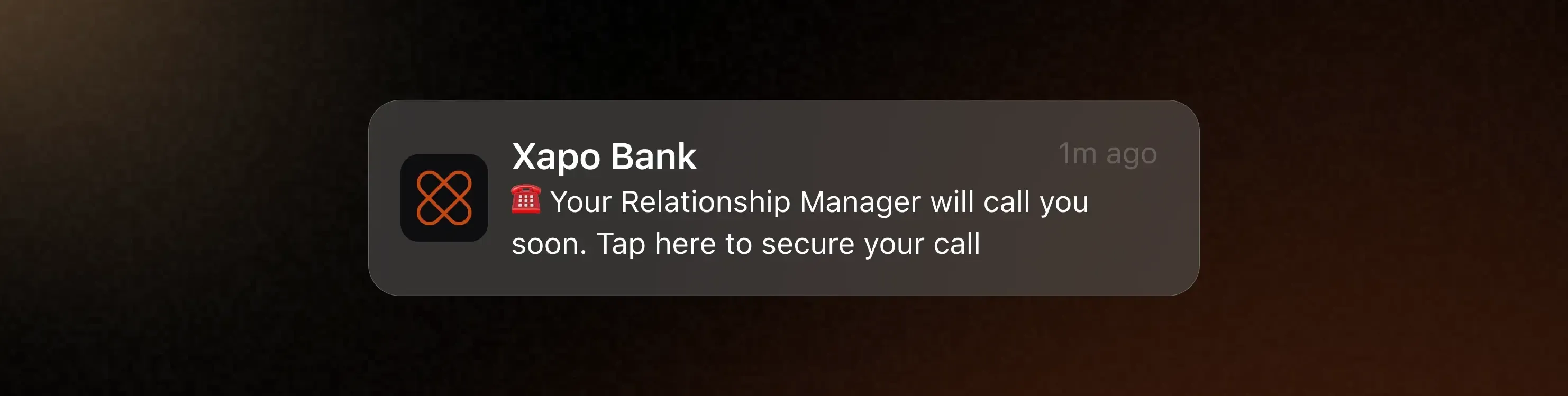 Xapo Bank Call with RM