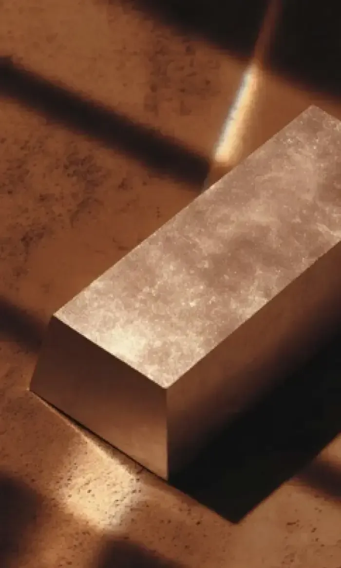 Gold bars