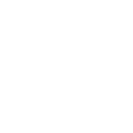 Link icon