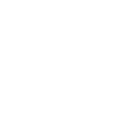 Human icon