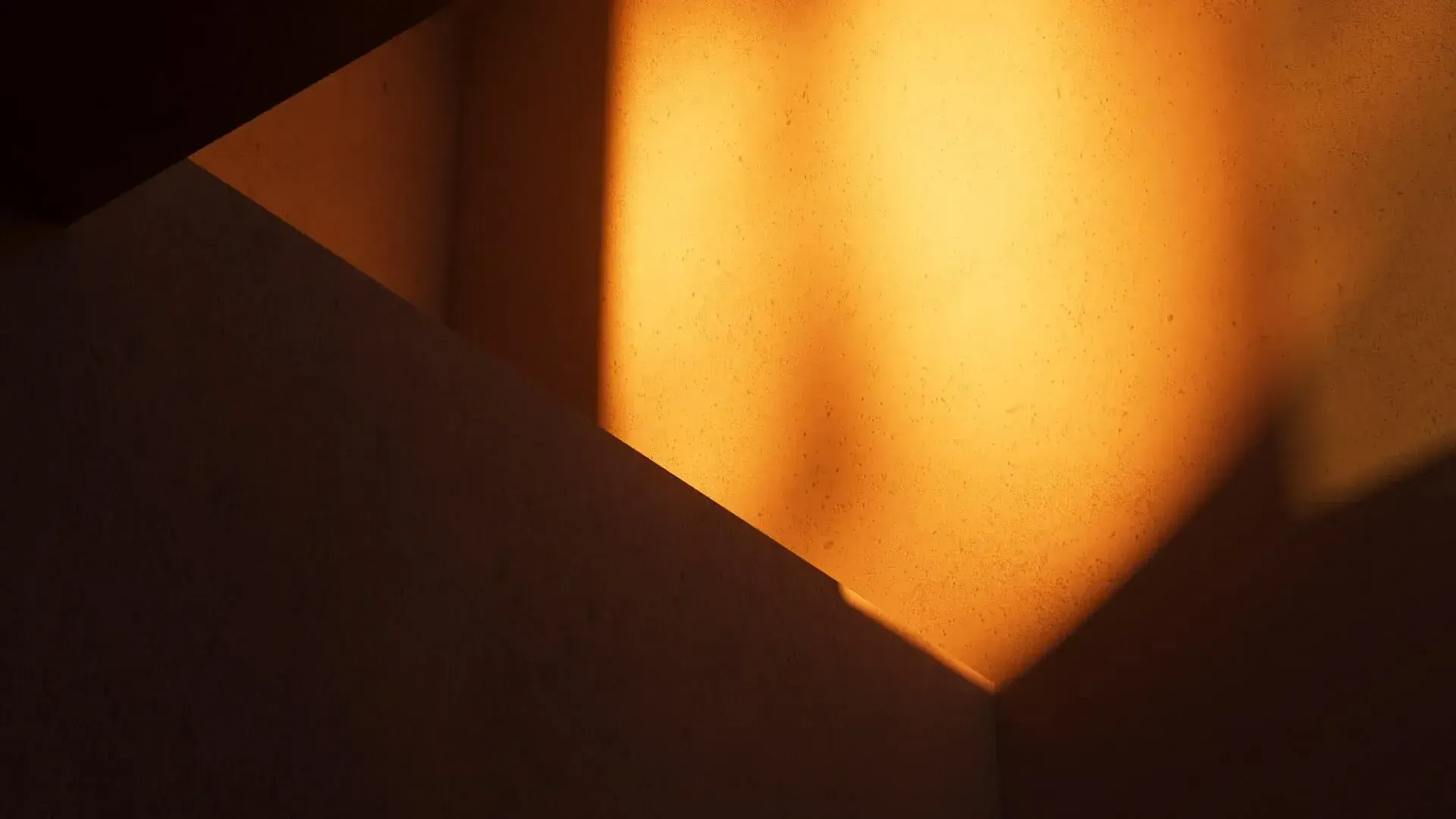 Learn about our expertise