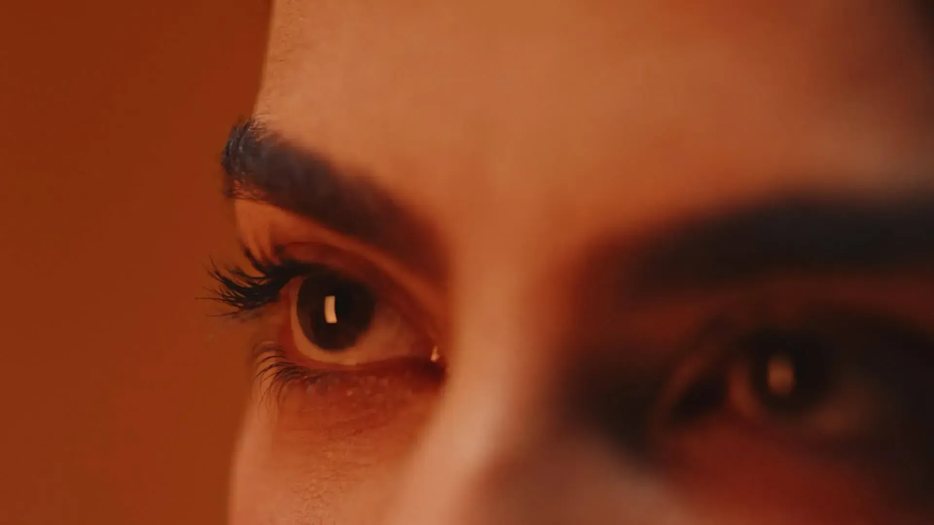 Low risk investments